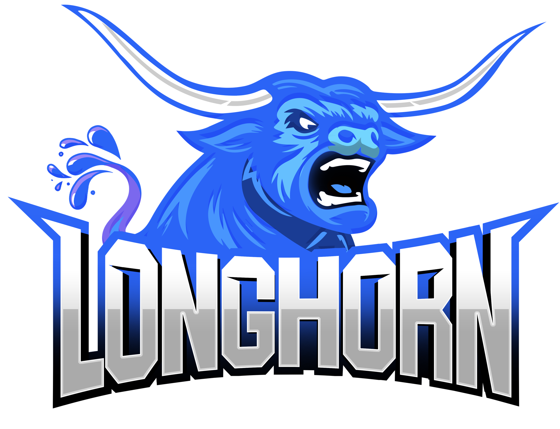 longhorn Collision