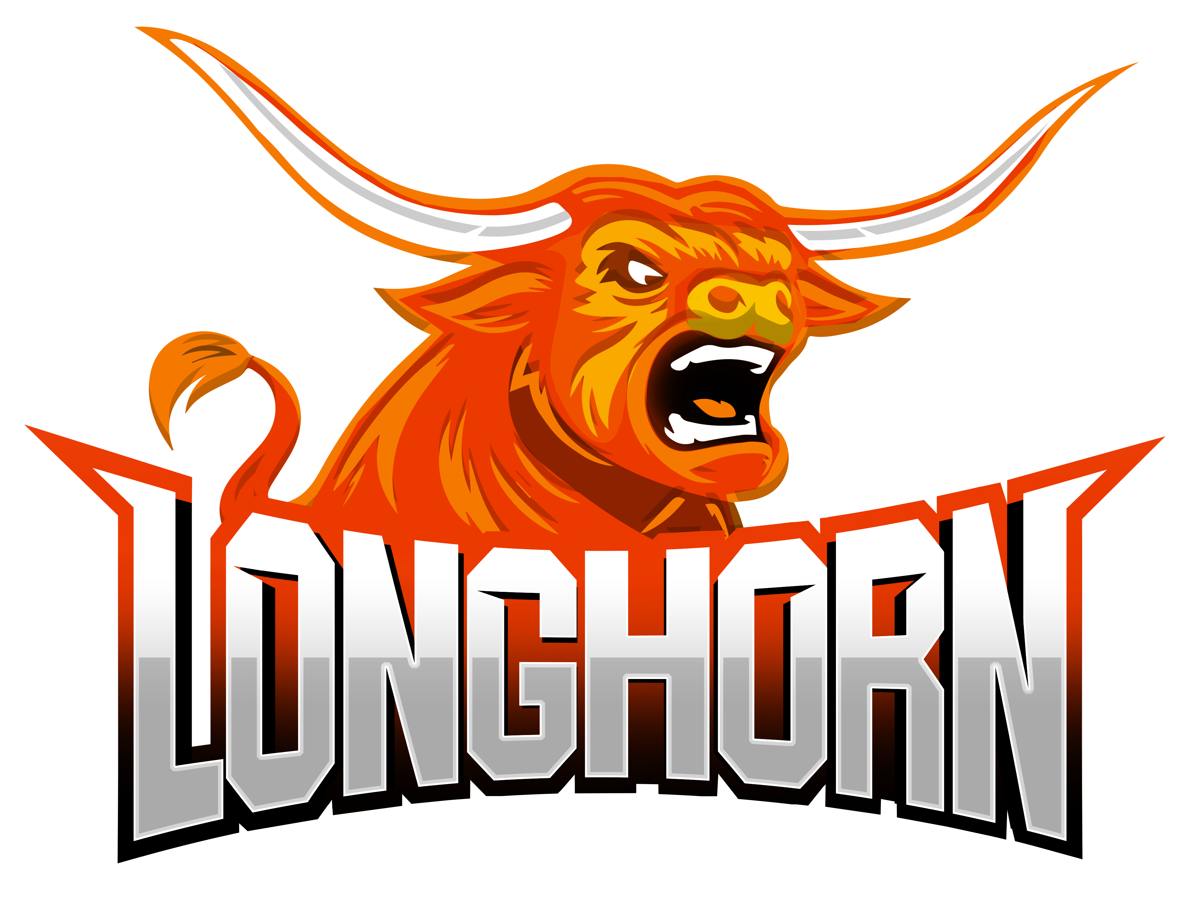 longhorn Collision