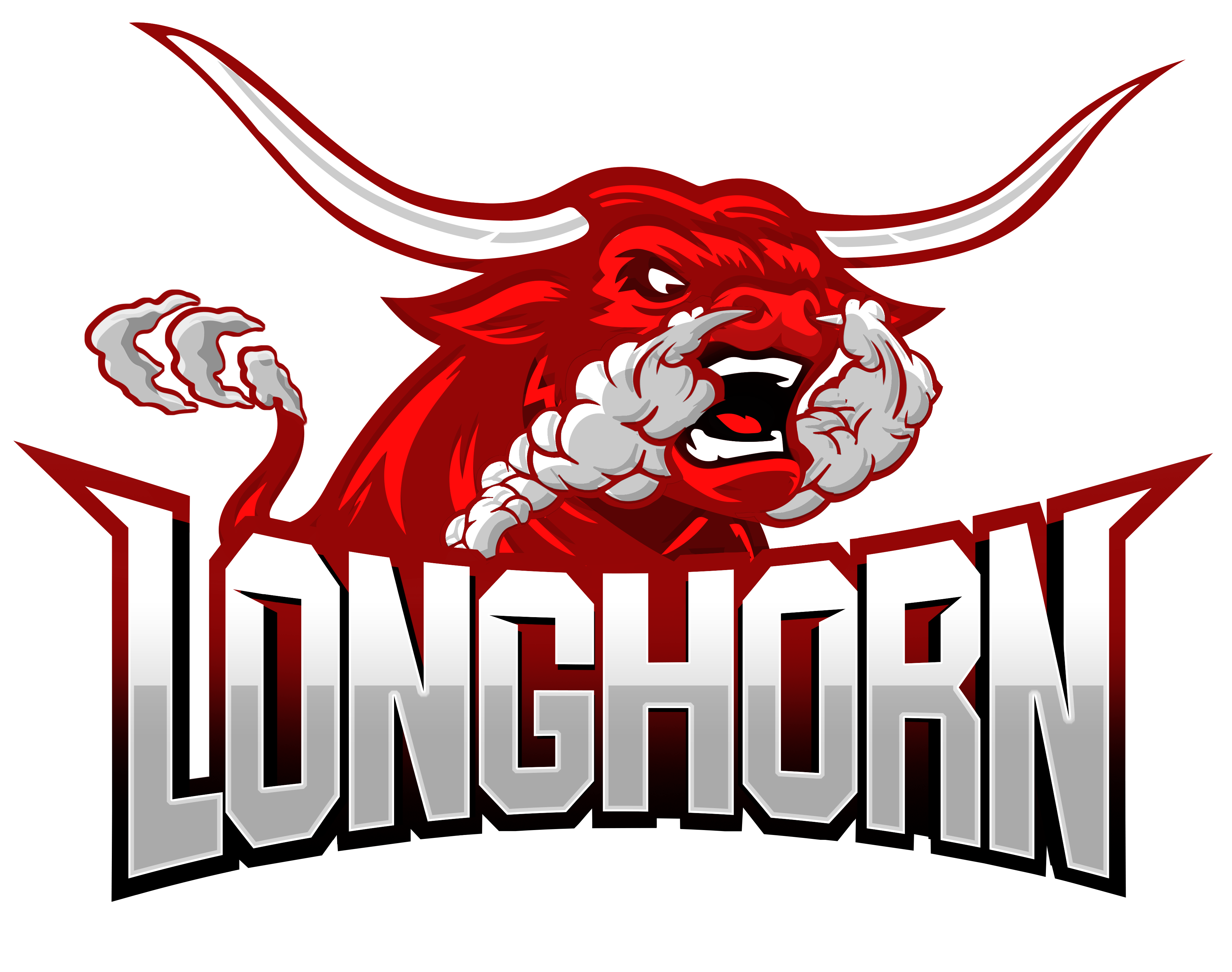 longhorn Collision